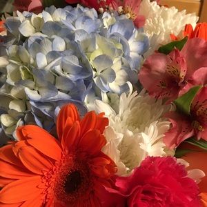 Meet your Posher, Cassy